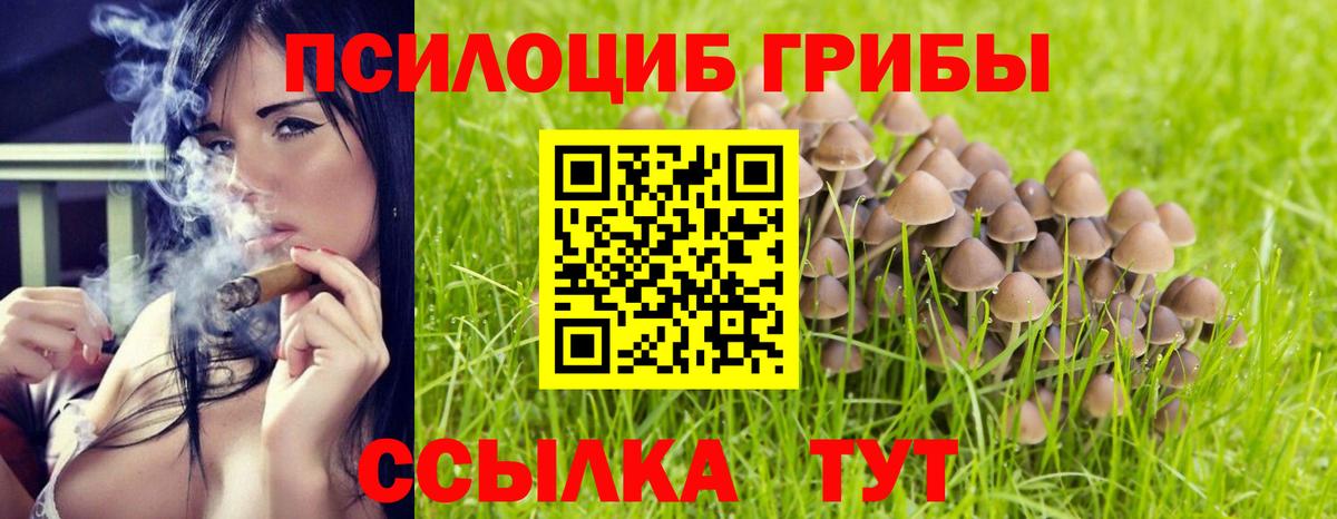 Красноуфимск  Псилоцибиновые грибы GOLDEN TEACHER  Псилоцибиновые грибы мицелий  Вход с VPN 