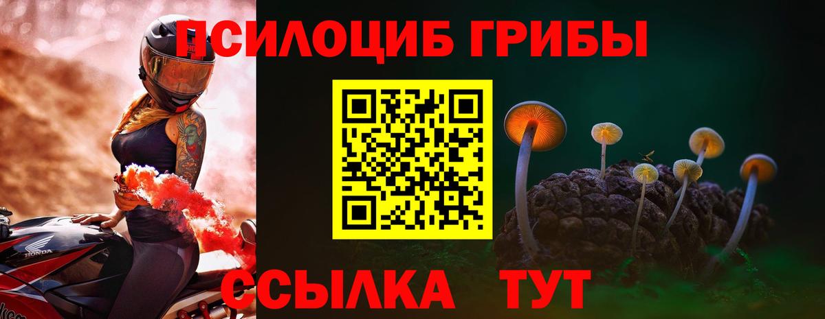 Галлюциногенные грибы GOLDEN TEACHER Красноуфимск